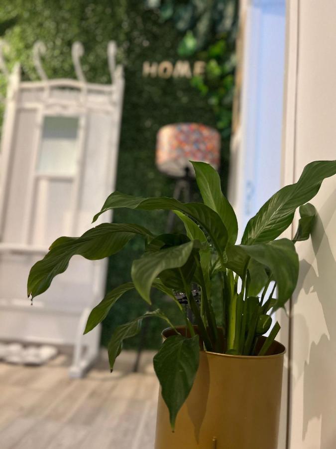 Sweet Home Apartament 普雷代亚尔 外观 照片