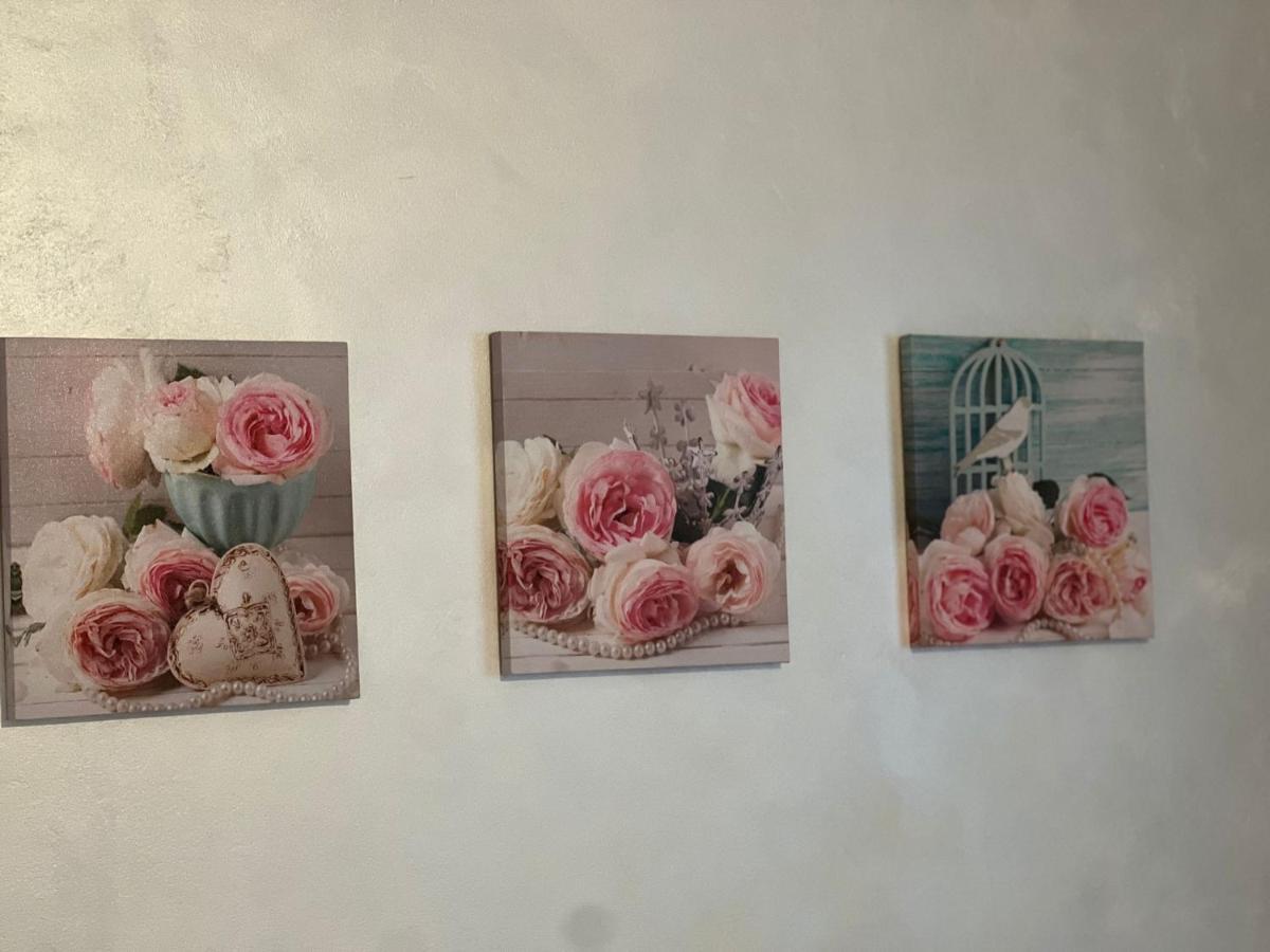 Sweet Home Apartament 普雷代亚尔 外观 照片